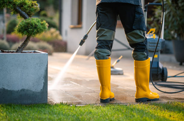 Best Pressure Washing Driveway  in Terre Haute, IN